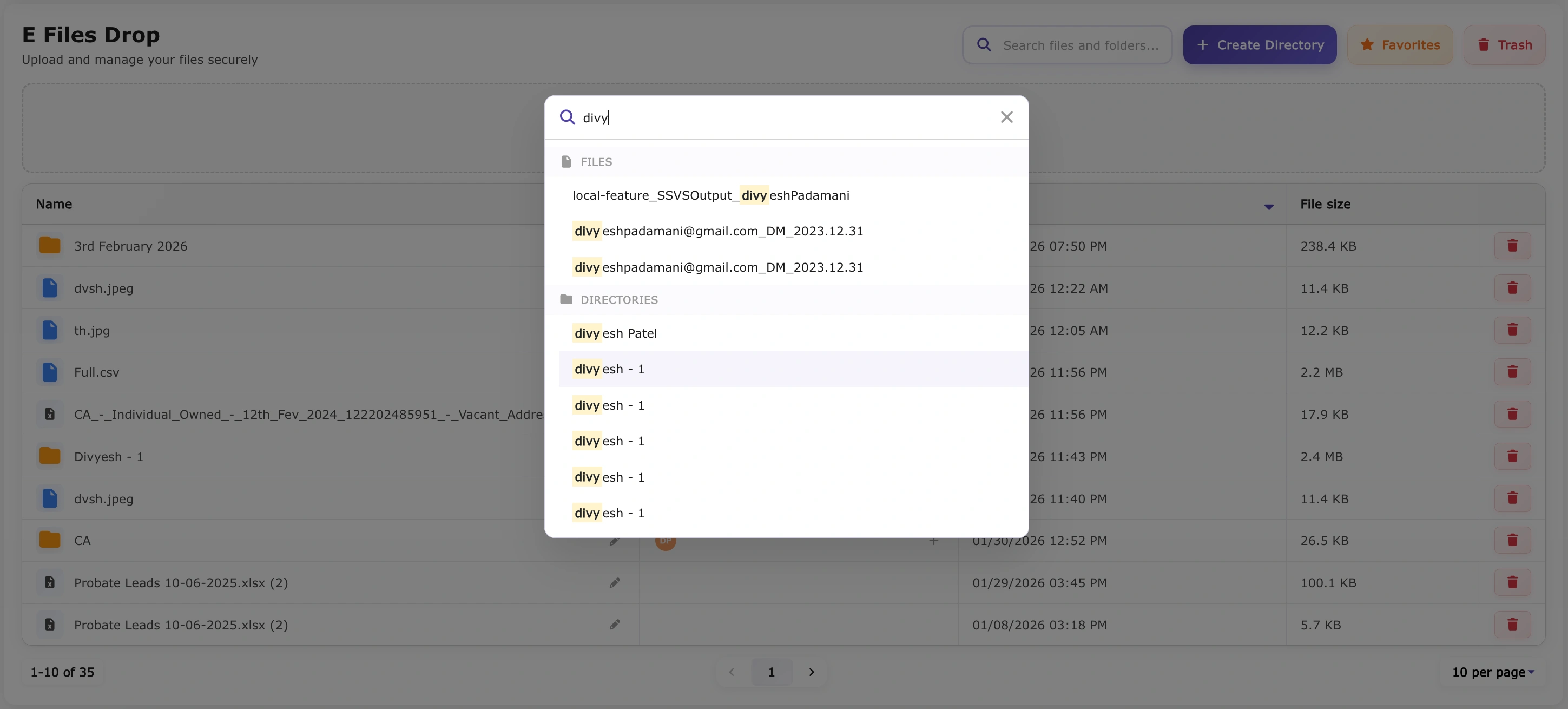 E-File Drops Search Files